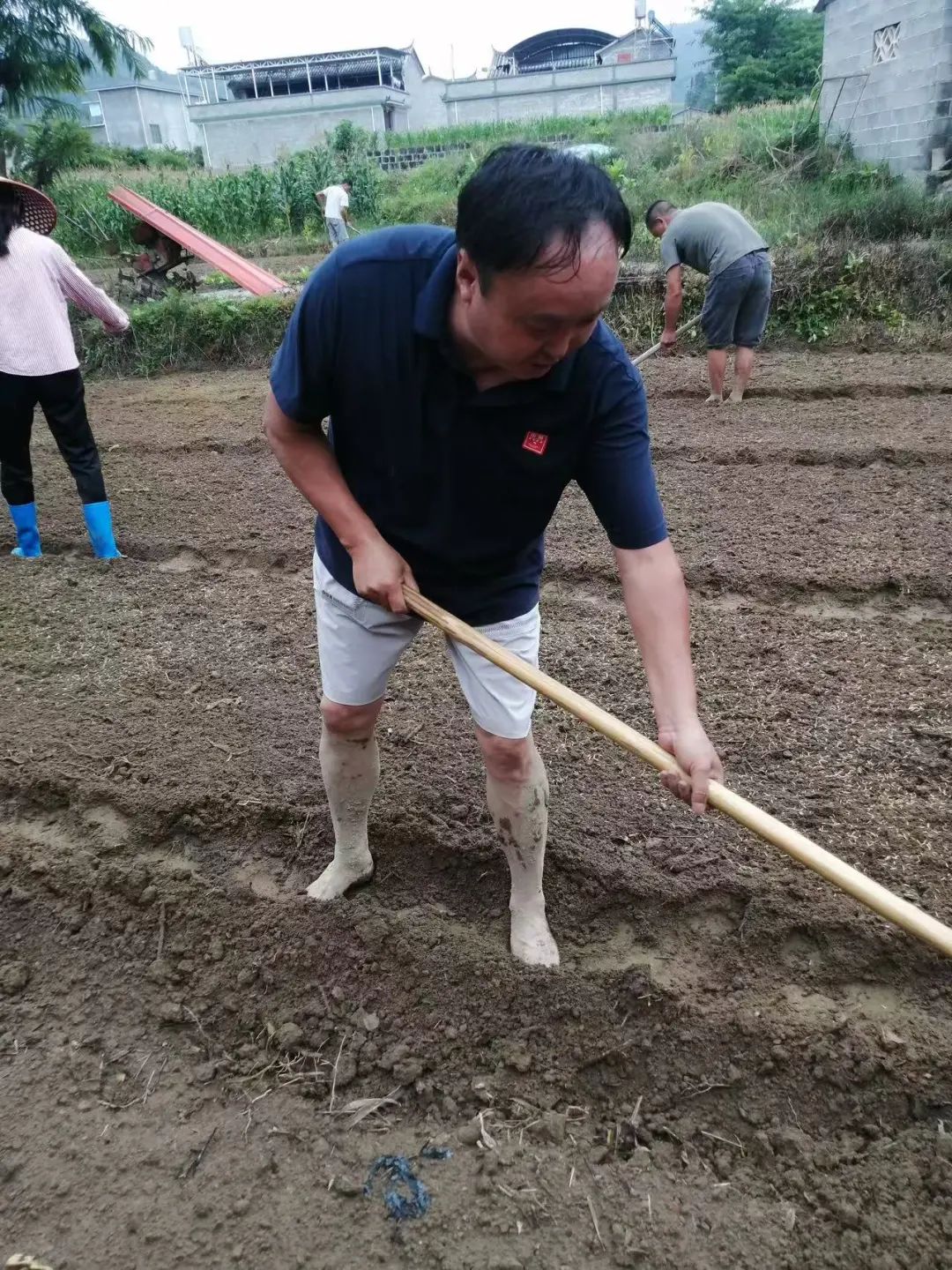 圖片